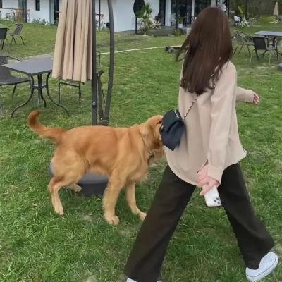 阿衰第六季